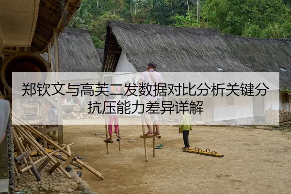 郑钦文与高芙二发数据对比分析关键分抗压能力差异详解