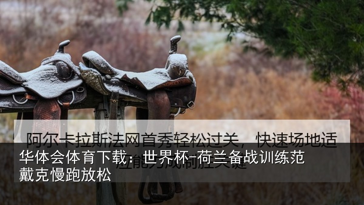 华体会体育下载:世界杯-荷兰备战训练范戴克慢跑放松