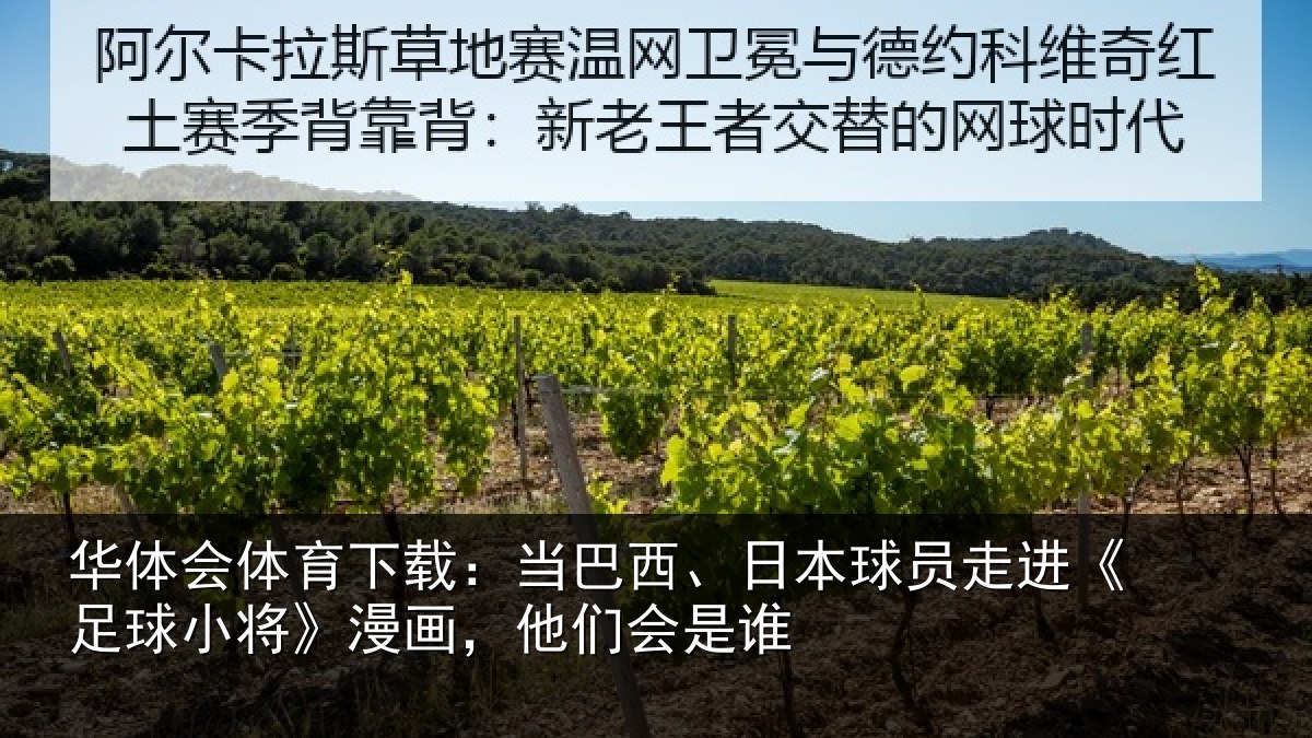 华体会体育下载：当巴西、日本球员走进《足球小将》漫画，他们会是谁