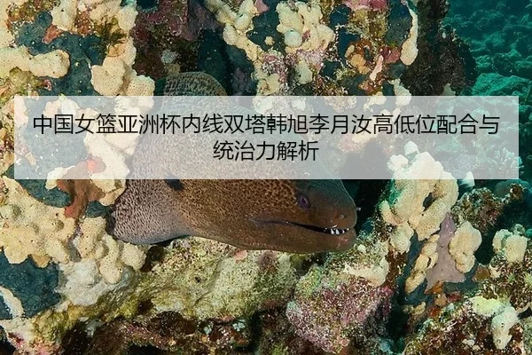 zhong-guo-nv-lan-ya-zhou-bei-nei-xian-shuang-ta-han-xu-li-yue-ru-gao-di-wei-pei-he-yu-tong-zhi-li-jie-xi-3-603.jpg